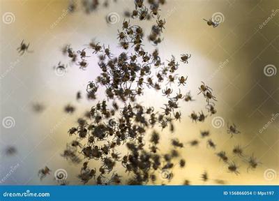 福安熱血封神H5_刀劍萌俠(0.1折版) 助力創(chuàng)業(yè)者騰飛的良機(jī)市場營銷策劃