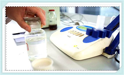 火棘乳酸菌飲料配方技術研發與咨詢服務